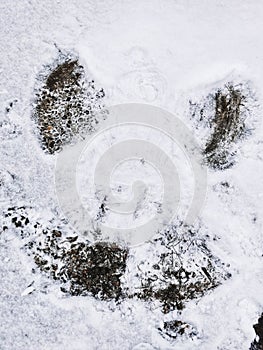 The snow has fallen and the children are happy