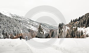 Snow Hike in Between Mountains and Alpine Trees