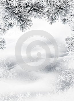 Snow hills and pine twigs for winter or Christmas background