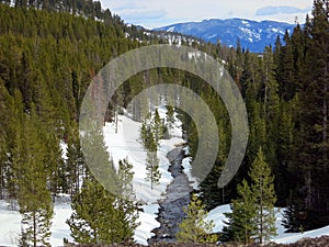 Snow and Ice Covered River and Tree Line