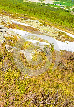 Snow and ice in summer landscape panorama of Norway Hemsedal