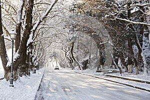 snow ice winter season trees road in Ioannina city Greece