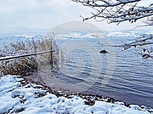 Snow idyll on the lake Lucerne VierwaldstÃ¤ttersee or Vierwaldstaettersee in the Weggis settlement - Canton of Lucerne