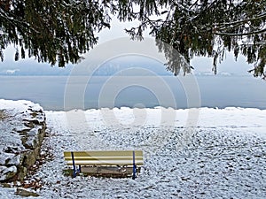 Snow idyll on the lake Lucerne VierwaldstÃ¤ttersee or Vierwaldstaettersee in the Weggis settlement - Canton of Lucerne