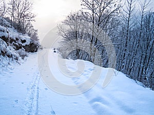 Snow in the italian Alps. Beautiful view of idyllic village in snowy forest and snowcapped mountain peaks. Piedmont, Italy