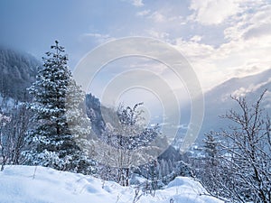 Snow in the italian Alps. Beautiful view of idyllic village in snowy forest and snowcapped mountain peaks. Piedmont, Italy