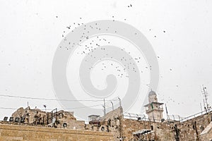 Snow in Jerusalem