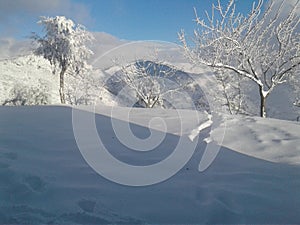 snow photo