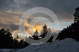 Snow Landscape