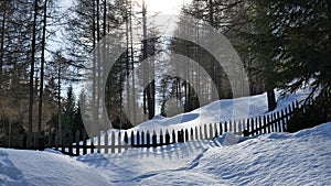 Snow landscape in Austria near Leutasch and Seefeld