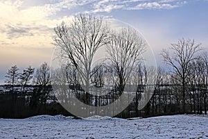Snow landscape with bare trees under a cloudy winter sky in the Flemish countryside