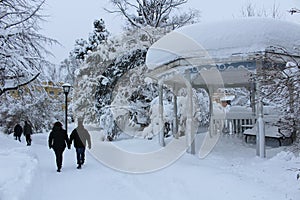 Snow landscape in City Park