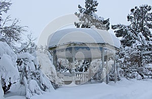 Snow landscape in City Park