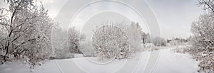 Snow landscape with frosted trees