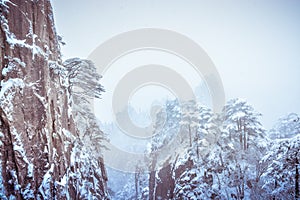 Snow landscape of Huangshan mountain,China