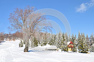 Snow landscape, Macedonia