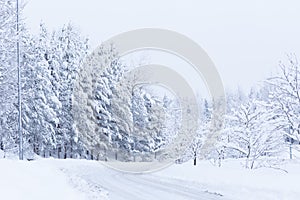 Snow landscape and road