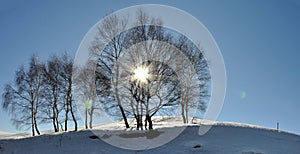 Snow landscape with sunlight