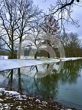 La nieve árboles refleja en estanque 