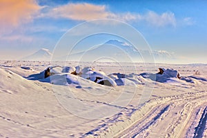 Snow landshaft and to the Mount of Ararat