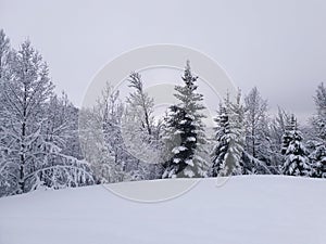 Snow in lapland norway