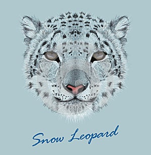 Snow leopard animal cute face. Vector Asian Irbis head portrait. Realistic fur portrait of snow wild spotted panther