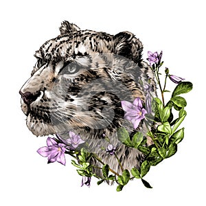 Snow leopard animal head in profile close-up composition decorated with flowers and leaves of a bell