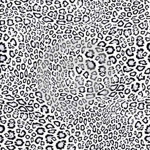 Snow leopard pattern. Vector seamless texture. Animal skin print, jaguar, ounce