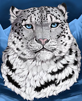 Snow leopard portrait