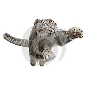 Snow Leopard pouncing. 3D illustration isolated on white