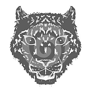 Snow Leopard Roar face or head. Hand drawn Leopard Head animal or predator isolated on white background. Vector