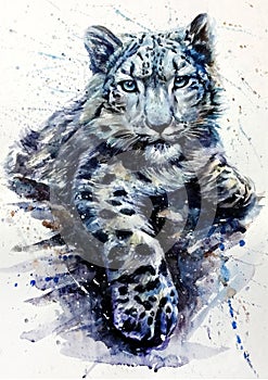 Snow leopard watercolor predator animals wildlife