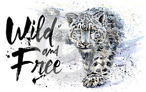 Snow leopard Wild and Free watercolor painting, animals predator, design of t-shirt, print, winter, king of mountains, wild ca