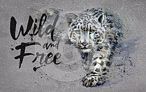 Snow leopard Wild and Free watercolor painting wit, animals predator, design of t-shirt, print, winter, king of mountains, wild ca