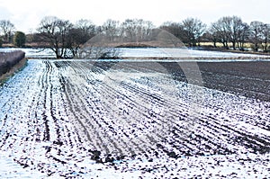 Snow on a Ploughed Field