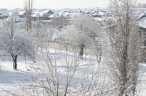 Snow lies on trees and roofs of houses