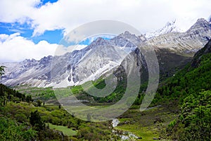 Snow lines and vegetation photo