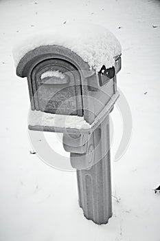 Snow Mailbox