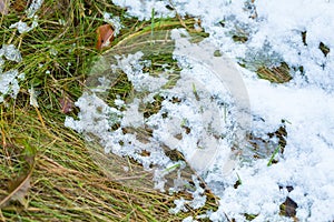 Snow malting on grass at spring or autumn