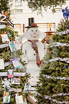 Snow Man between two Christmas Tree