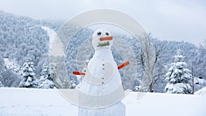 Snow Man in Winter, Snow Man with Carrot Nose and Forest with Mountains in the Background, Snowman in Snowy Weather