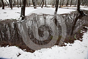 Snow melt reflections during the winter season