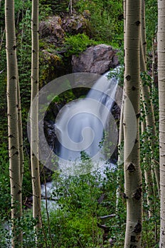 Snow Melt Waterfall Vertical