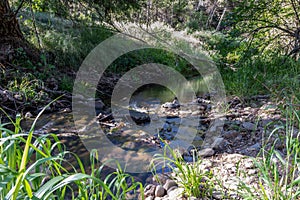 Snow melting upstream creates vegetation and life downstream