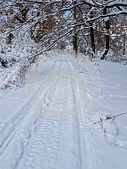 Snow Mobile Path Through New Snow