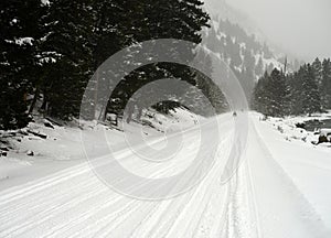 Snow Mobiles on Winter Yellowstone Road photo