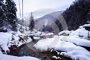 Snow Monkeys Soak in Hotsprings