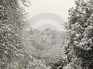 Snow morning in Cordoba hills, Argentina