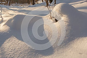 Snow mounds. Erotic snow dunes in the Ukrainian snowy woods evening with soft warm light of sunset Klevan Ukraine.