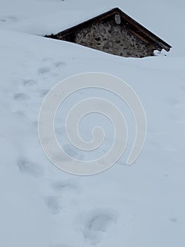 Snow and mountain